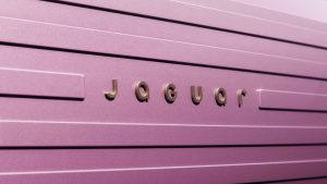 جگوار تایپ صفر صفر jaguar type 00